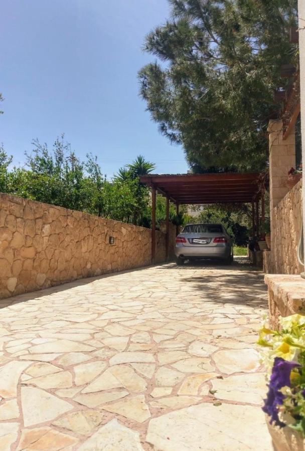 Mediterranean Garden Villa Vathí Dış mekan fotoğraf